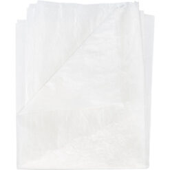 Alternative view of Fish Skin