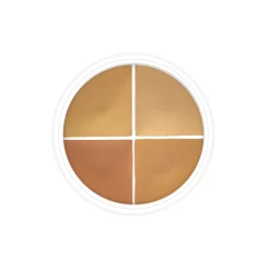 4 Part Color Wheels