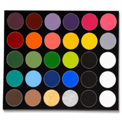 Paradise Makeup AQ30â„¢  Color Pro Palette