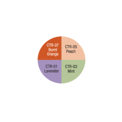 Alternative view of Corrector Wheel (CTRW-1)