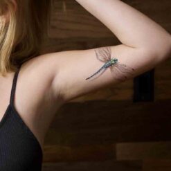 Alternative view of Dragonfly