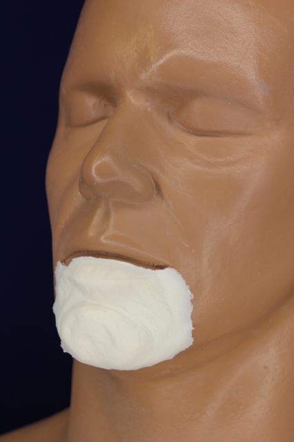 Character Chin #2 - FRW-113