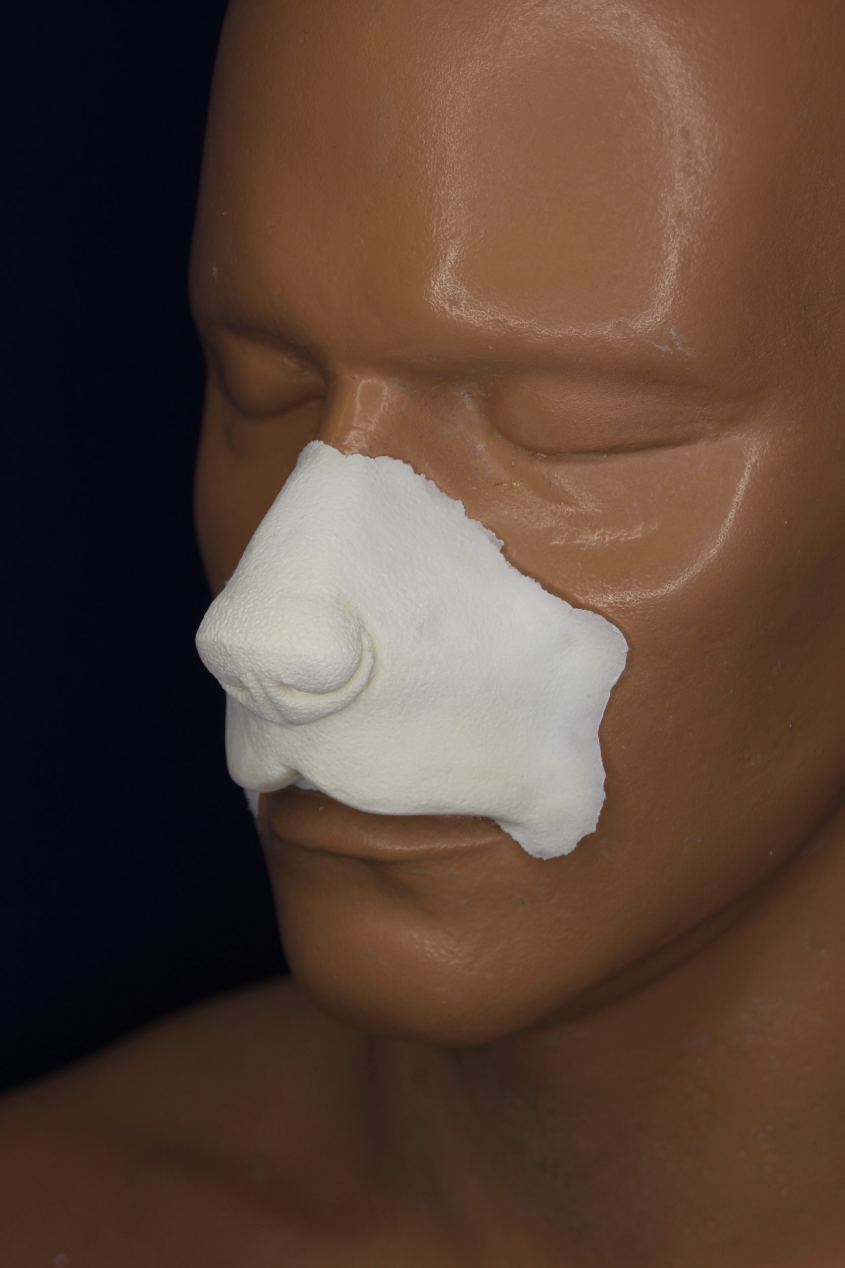 Canine Nose - FRW-172