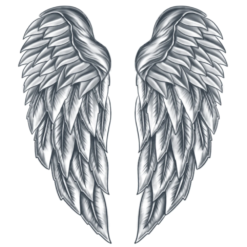 Arc Angel
