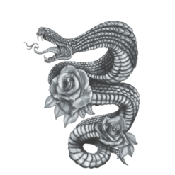 Snake & Roses