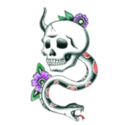 Snake & Skull