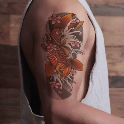 Alternative view of Koi 2