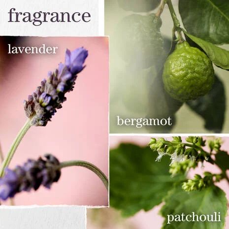 Hydrate Sheer Shampoo - Image 6