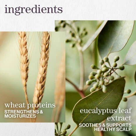 Hydrate Sheer Shampoo - Image 7