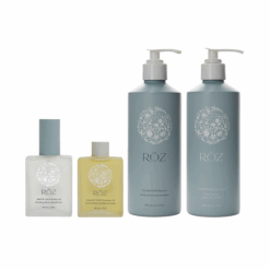 The Healthy Hair Kit