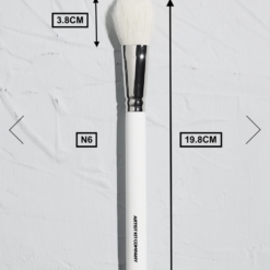 Alternative view of Brush N6