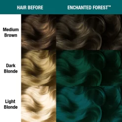 Alternative view of Enchanted Forest - Classic High Voltage