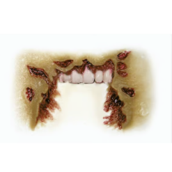 Alternative view of 3D FX Transfers - Zombie Missing Jaw