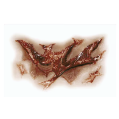 Alternative view of 3D FX Transfers - Zombie Torn Throat