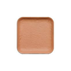 Encore Alcohol Palette Refills - Skin Tone