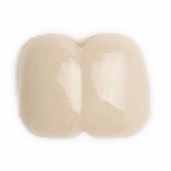 Alternative view of Bucky Tooth Cap