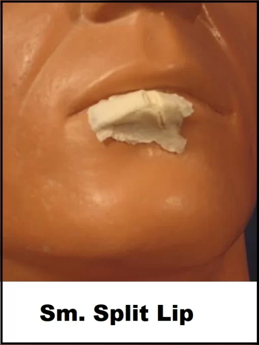 Split Lip - Small