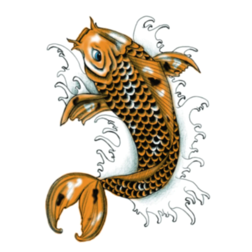 Koi Fish