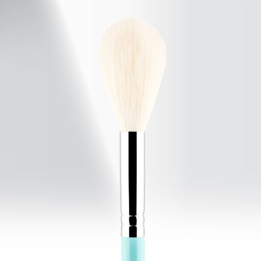 162 - My Polished Blush Brush