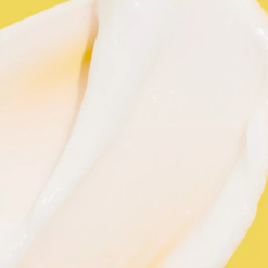Alternative view of A Curl Can Dream Co-Wash