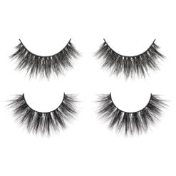 Alternative view of Midnight in Miami Kit