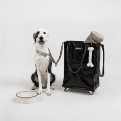 Alternative view of Hulken® Original Rolling Tote Bag - Small