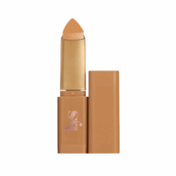 Triple Fix Blurring Skin Tint Foundation Stick