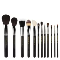 Complete 12pc Makeup Brush Set with Roll-up Pouch