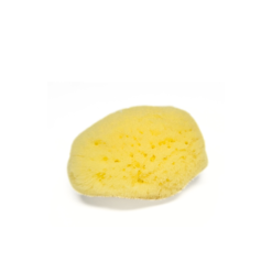 Sea Sponge, Extra Small