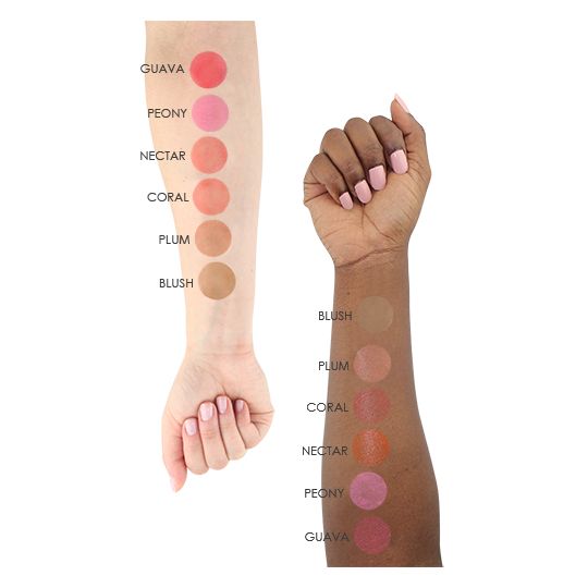 S/B Blush Starter Set - Image 2