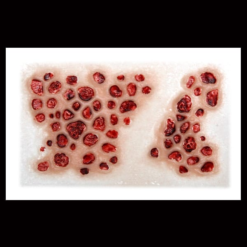 Alternative view of 3D FX Transfers - Trypophobia