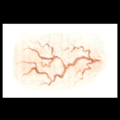 Alternative view of 3D FX Transfers - Veins